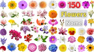 Flowers Vocabulary ll 150 Flowers Name in English with Pictures ll Flowers for Kids & Anthophile
