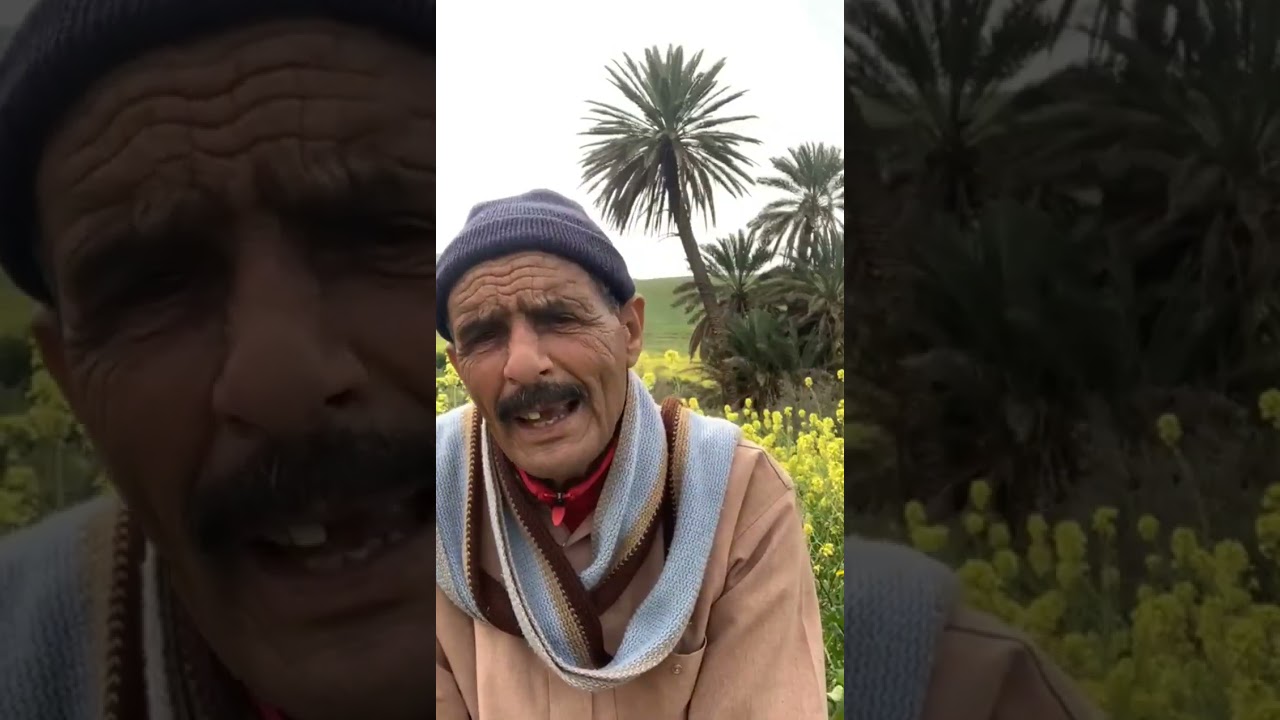 قصة عم الذيب🐺مول جنان الكرموس وعم القنفوذ🦔/#قصص_شعبية_مغربية مع احسن حكواتي🤣