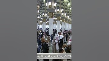 خواتيم سورة ال عمران للشيخ أحمد بن طالب