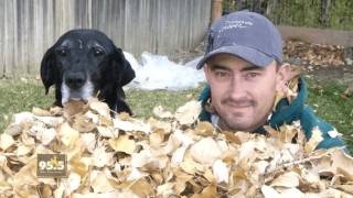 Video thumbnail of "Billy Currington - Like My Dog"