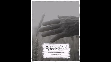 تلاوة تلامس القلب ♥🔉من سورة الغَاشِیَەِ بصوت شیخ جاسم الکرکوکي مقام الكرد
