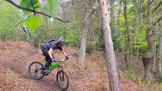 Fun In The Woods