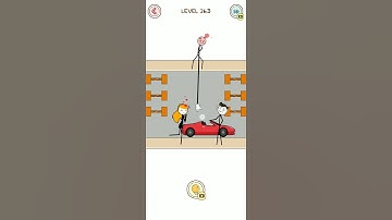 Thief Puzzle - Level 263