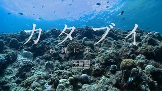 映画「カタブイー沖縄に生きるー」予告編 HD