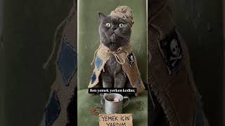 Sizde durumlar nasıl?😂 #keşfet #cat #ai #shortsvideo #tiktok #kesfeteyyiz #funny #viral
