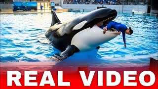 Download Lagu FULL VIDEO JESSICA RADCLIFFE ORCA MP3 Download Lagu FULL VIDEO JESSICA RADCLIFFE ORCA MP3