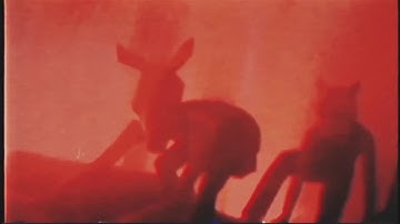 Rieg - witchwitchwitch (Official video)