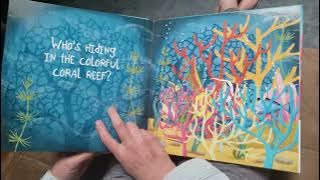 Who's Hiding? In the Ocean - read aloud
