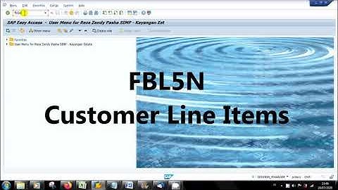 SAP FBL5N Customer Line Items