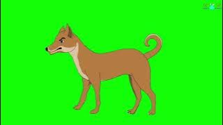 Green screen cartoon dog animation video//Green screen কুকুর //Green Screen R.