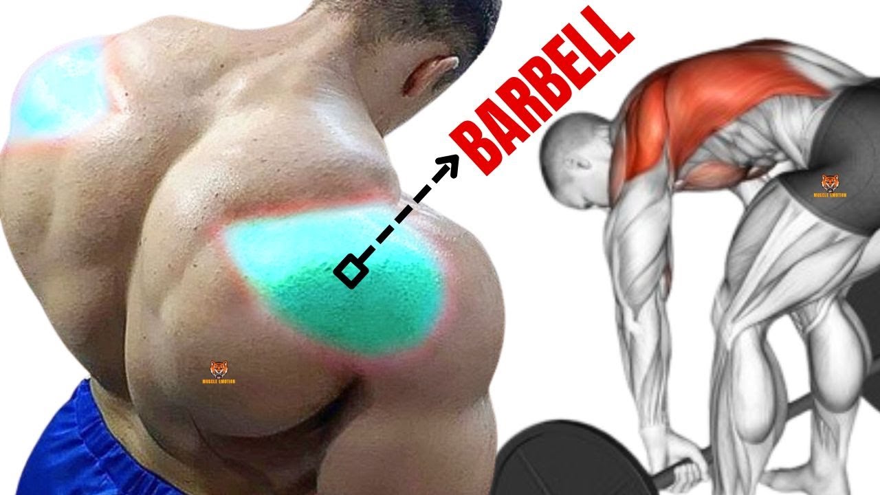 14 BEST REAR DELTOID EXERCISES AT GYM - YouTube