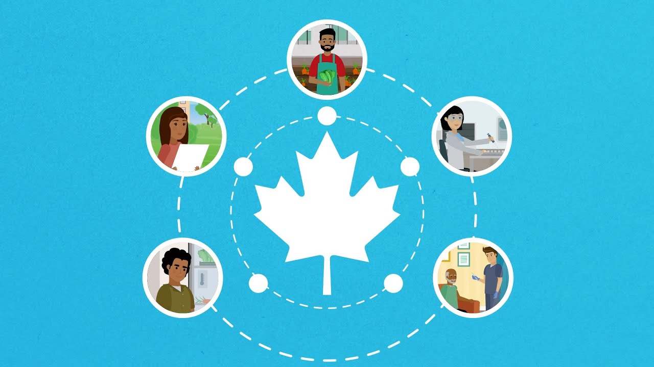 Un aperçu de la santé publique au Canada