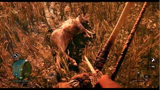 Far Cry Primal Rare Deer Skin Easy Method | Rare Deer Skin Location |Tips & Tutorial |