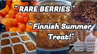 Sweet Berry Day! 🍯 Cloudberry Jam + Fresh Blueberry Pie