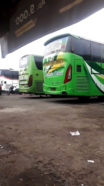 Bis Basuri | Bus Telolet | Karunia Bakti #basuri #viral