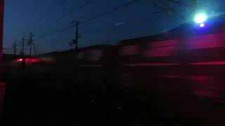 JR貨物 EF66-129号機(吹田)+コキ24両 貨物列車67レ 2024.03.11