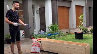 صناعة حوض زراعة في المنزل Easy made raised garden bed!