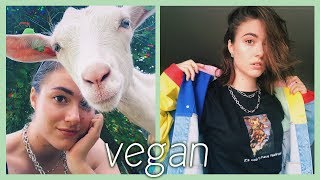 🌿 dit is wat 1 jaar vegan zijn met je doet 🌿