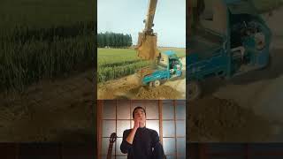 Excavators create interesting entertainment situations #shorts