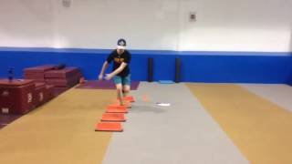 SL Mini hurdle bound