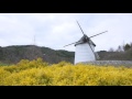 0047あすたむらんど徳島 の動画、YouTube動画。