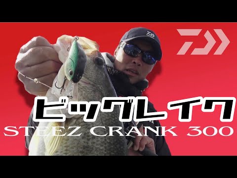 欣の店 Daiwa 路亞steez Crank 300 小池陸口熱烈開戰綠魔鬼 Yahoo奇摩拍賣