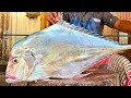 Kasimedu  mr arumugam  diamond trevally fish cutting  in kasimedu  ff cutting 