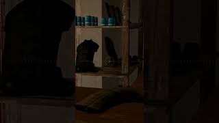 НОВОЕ КАФЕ И НОВЫЙ ОТЕЛЬ В GARRY'S MOD HL2RP - #garrysmod #hl2rp #halflife2