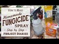 ★ How to: Make Cheap Homemade Organic Fungicide (Complete Step by Step Guide)