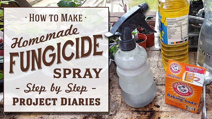 ★ How to: Make Cheap Homemade Fungicide (Complete Step by Step Guide)