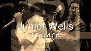 Watch Junior Wells I Could Cry video