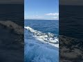 Andaman Cruize ship| Neil island | Neil Island to Port blair | Ferry boat  | Green ocean
