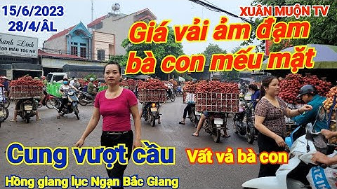 giá vải hôm nay 15/6/2023 tại hồng giang lục Ngạn bg giá vải xuống cung vượt cầu