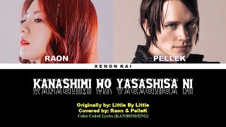 Raon & PelleK - 'KANASHIMI WO YASASHISA NI' (Color Coded Lyrics) [KAN/ROM/ENG]