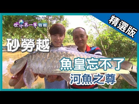 【砂勞越】 河魚之尊稱霸大馬 魚皇忘不了 Empurau｜《世界第一等》544集_精選版