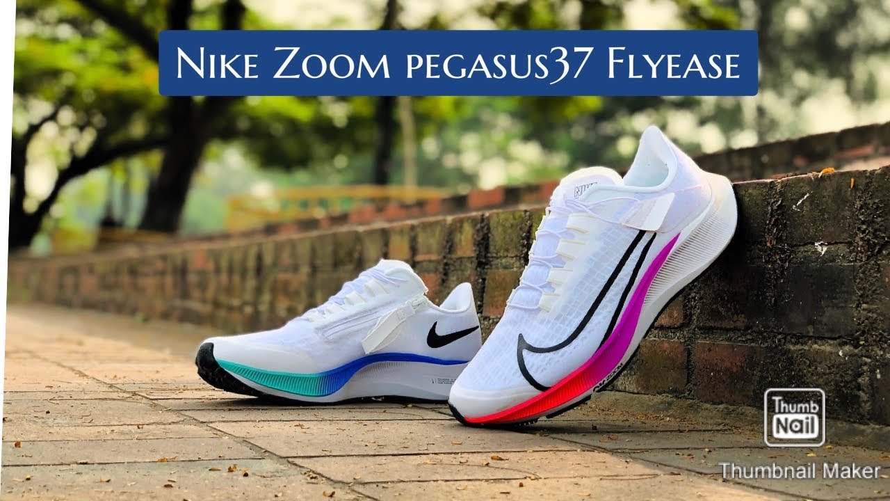 flyease pegasus