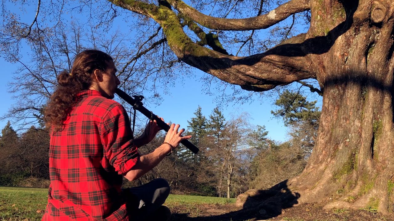 A Window to the Past (Harry Potter) - Native American Flute