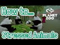PLANET ZOO - How to... Stressed Animals
