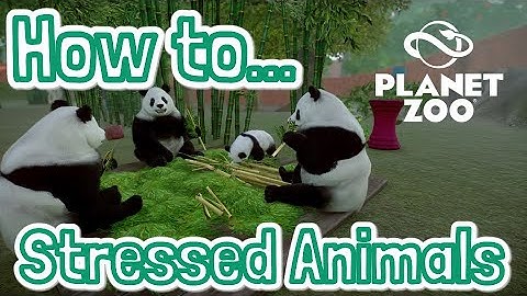 PLANET ZOO - How to... Stressed Animals