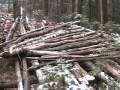Half Earth Shelter- part 1