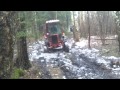 Miško darbai. Jumz-turbo.  forest work...