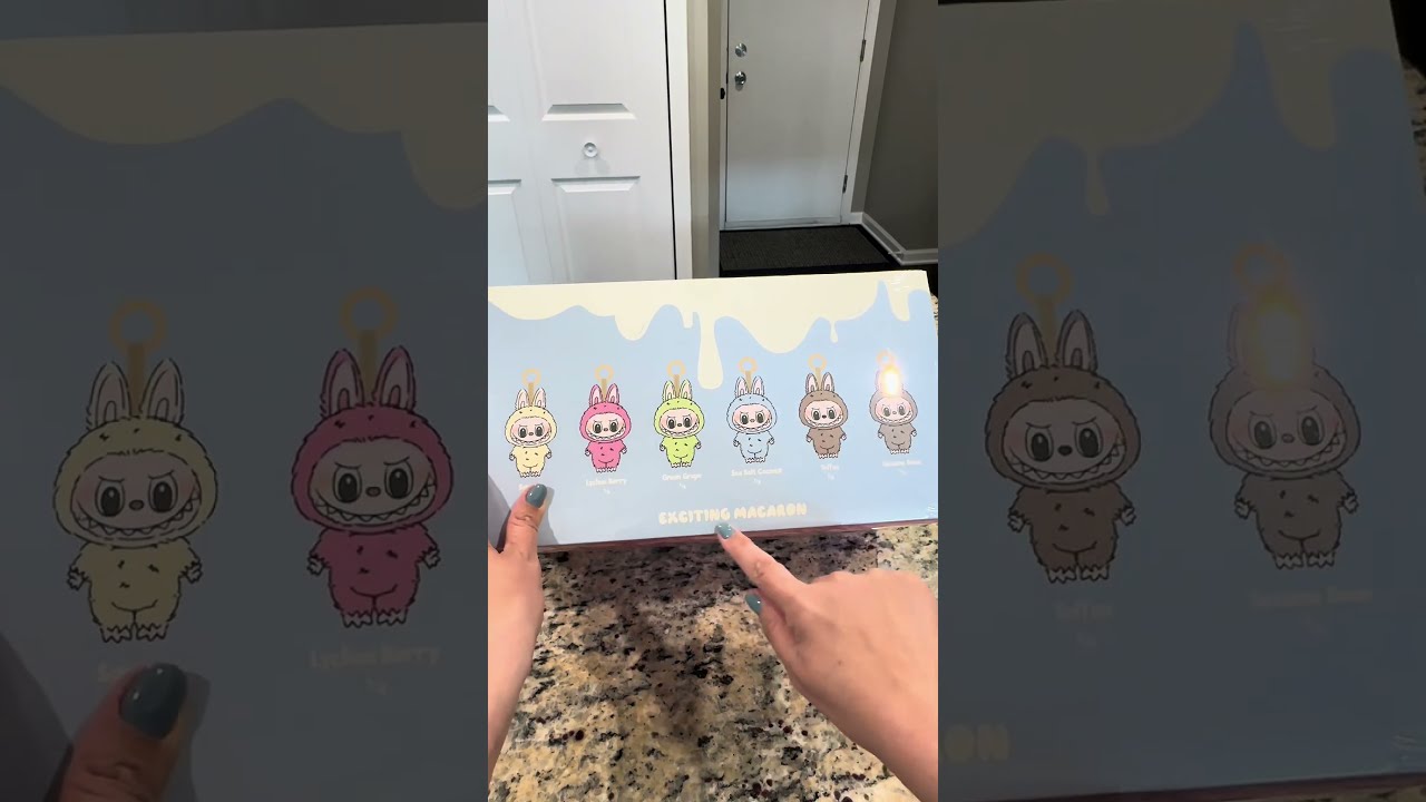 Labubu Unboxing Macaron