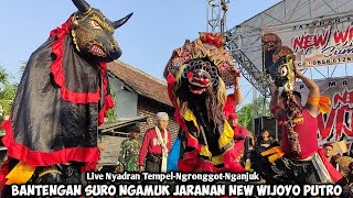 Bantengan Suro Ngamuk❗Jaranan NEW WIJOYO PUTRO Live Nyadran Tempel Ngronggot Nganjuk