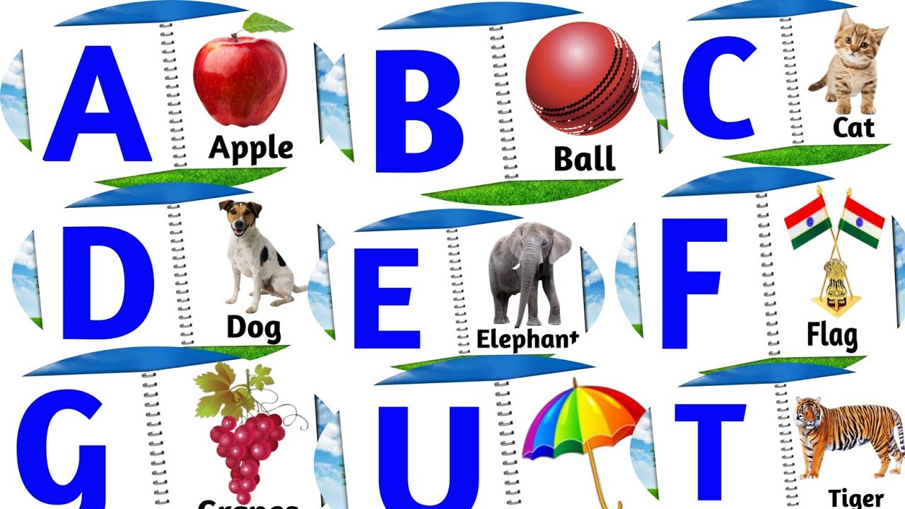 apple ball cat dog elephant fish gorilla hat a for apple b for badka