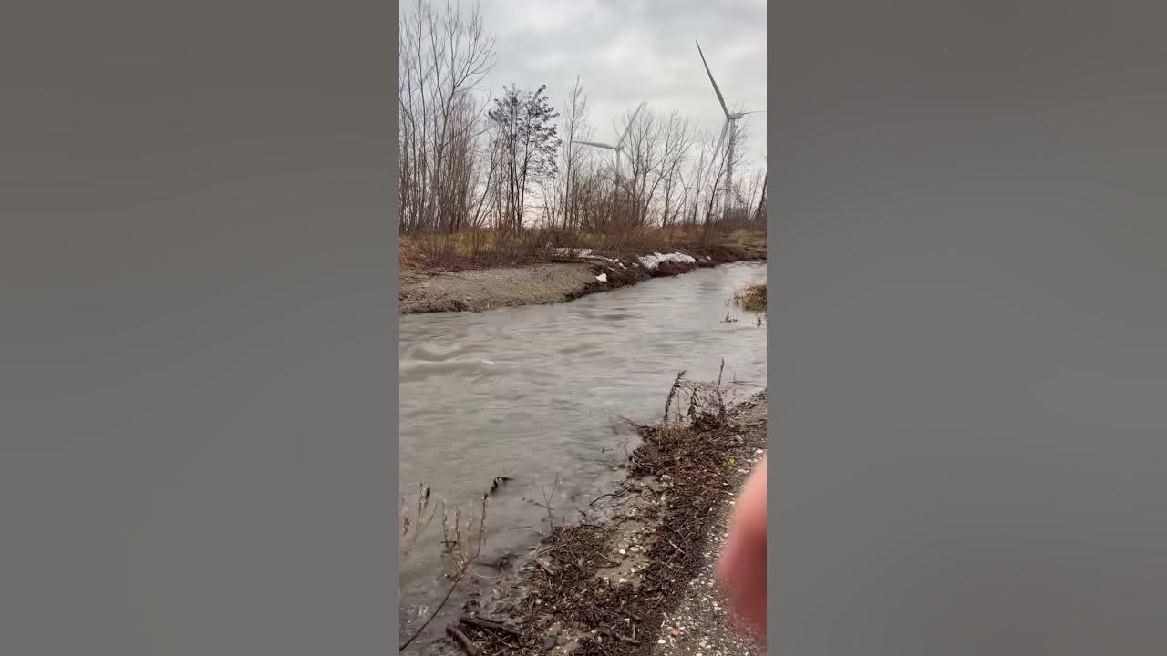 Lake Erie Seiche YouTube