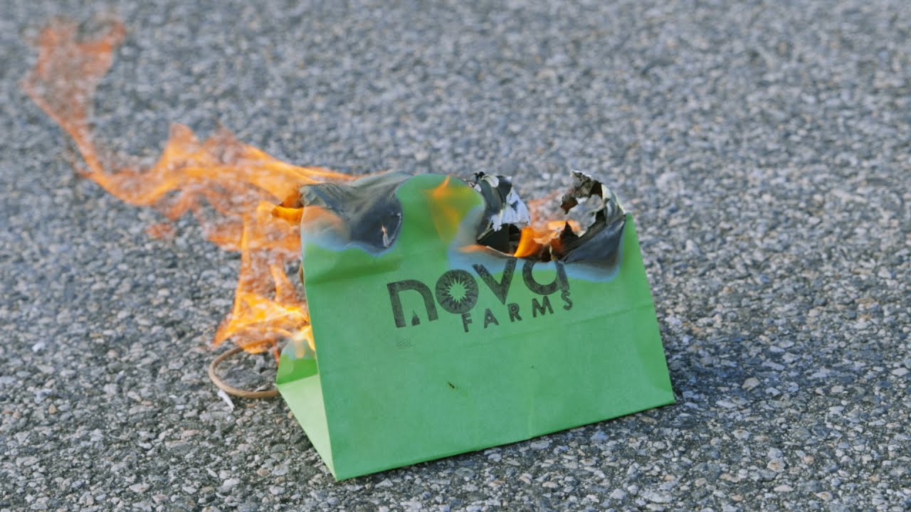 THICC BLUNT CASE COMMERCIAL 💪🏽👀