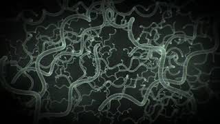 Bacteria Movement in Microscope || Viral || Green Screen Gallery || Free To Use || HD