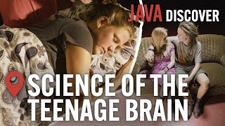 The Science of Teenage Brains: A Biological Miracle