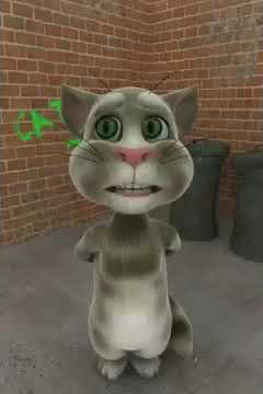 Kucing Untuk Grup Wa Yang sepi wauuuuuu kucing ini memang hebat !!!!!! Kucing hebatttt!!!!!