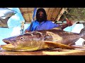 Huge cobia fish cutting skills